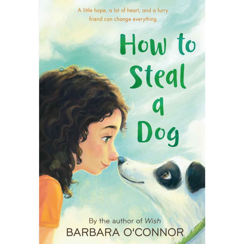 How to Steal a Dog (Barbara O'Connor) Macmillan US