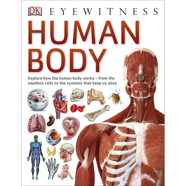 DK Eyewitness - Human Body (Paperback) DK UK