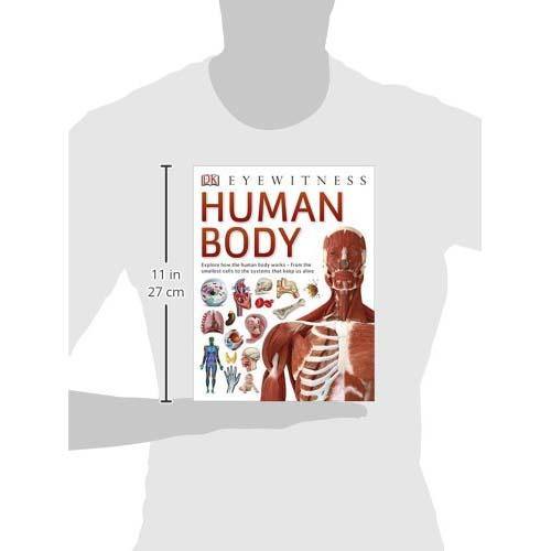 DK Eyewitness - Human Body (Paperback) DK UK