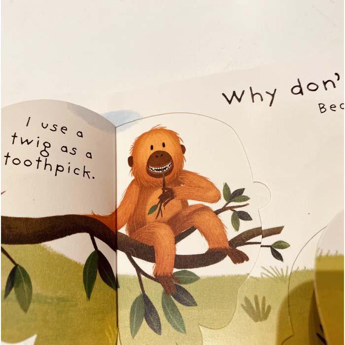 Very First Questions and Answers Why Should I Brush My Teeth? Usborne