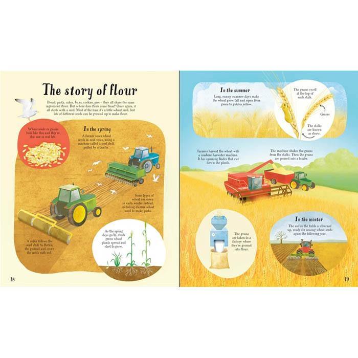 It all starts with a Seed… how food Grows Usborne