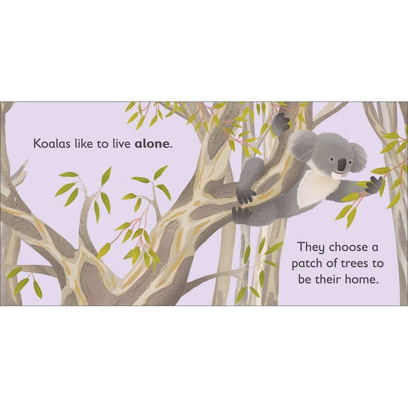 K is for Koala (Board book) DK UK