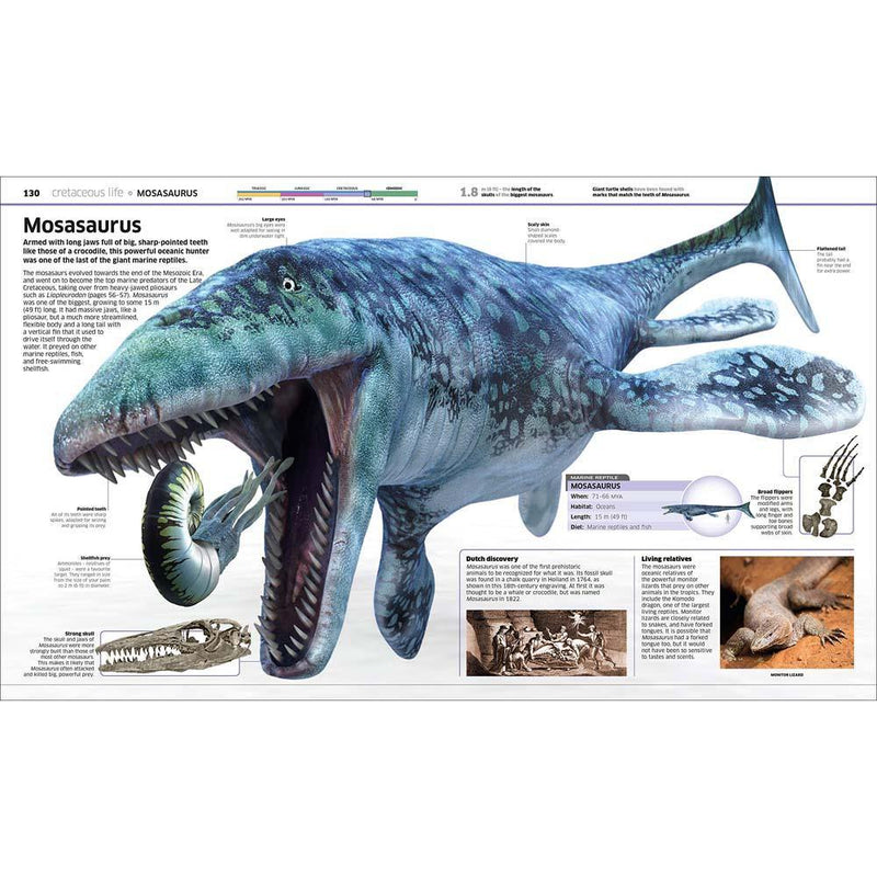 Knowledge Encyclopedia Dinosaur (Hardback) DK UK