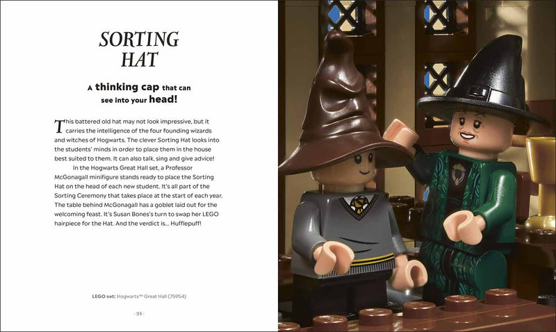 LEGO Harry Potter The Magical Guide to the Wizarding World DK UK