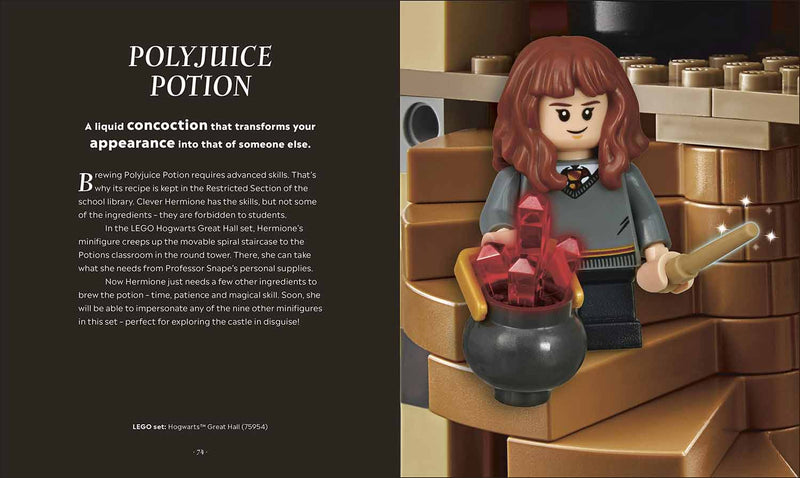 LEGO Harry Potter The Magical Guide to the Wizarding World DK UK