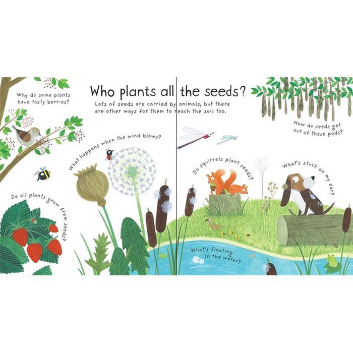 First Questions and Answers How do flowers grow? Usborne