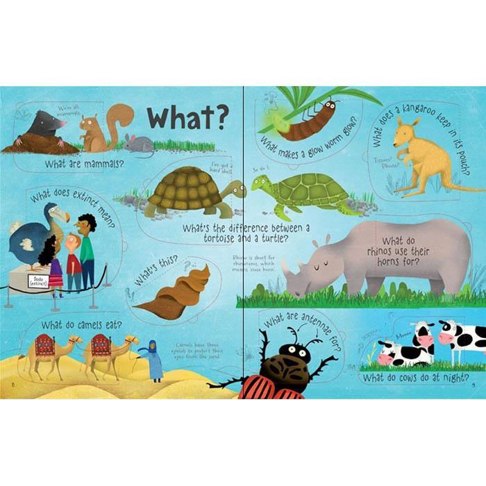 Lift-the-flap Questions and Answers About Animals Usborne