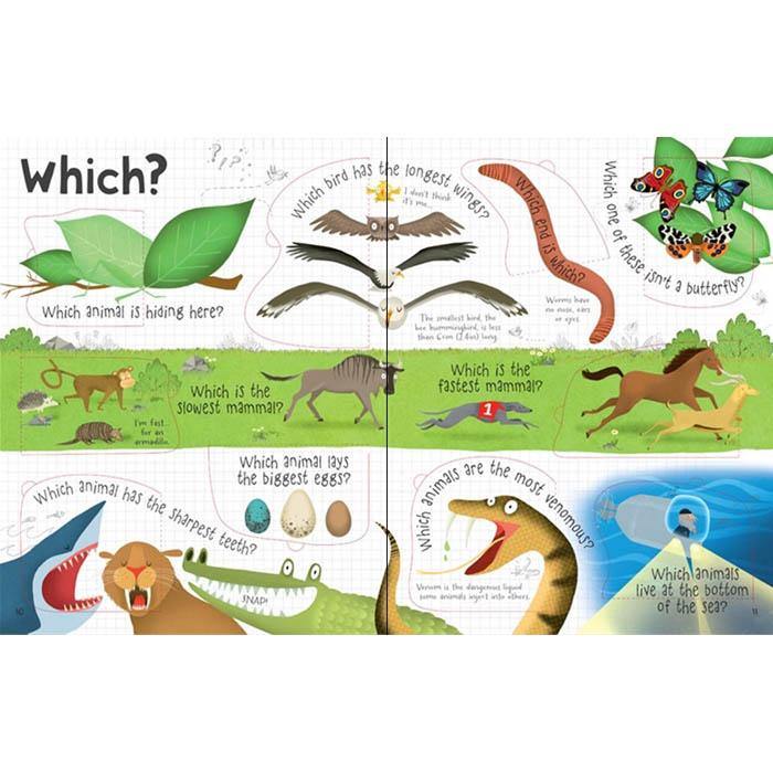 Lift-the-flap Questions and Answers About Animals Usborne