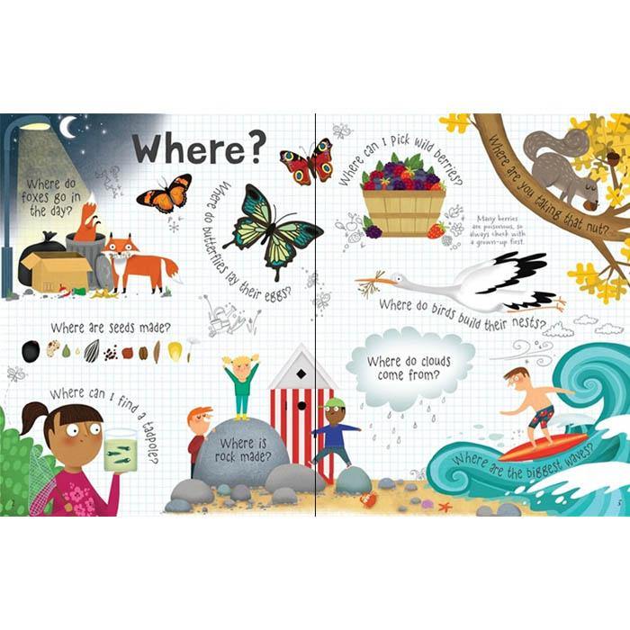 Lift-the-flap Questions and Answers About Nature Usborne