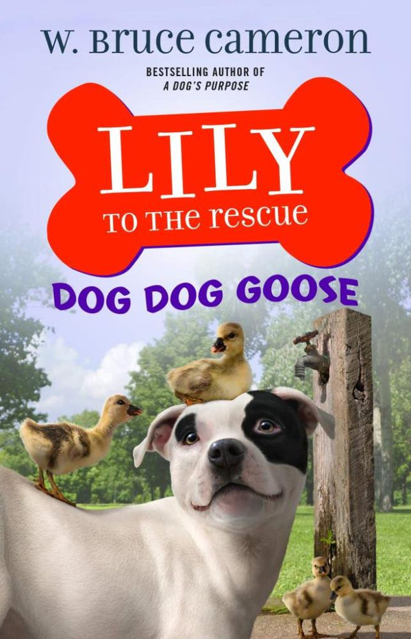 Lily to the Rescue! #04 - Dog Dog Goose (Paperback)(W. Bruce Cameron) Macmillan US