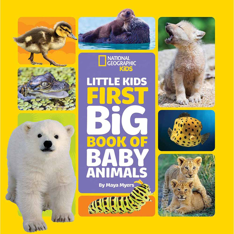 NGK Little Kids First Big Book of Baby Animals (Hardback) - 買書書 BuyBookBook