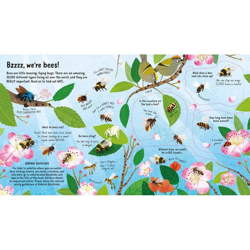 Look Inside the World of Bees Usborne