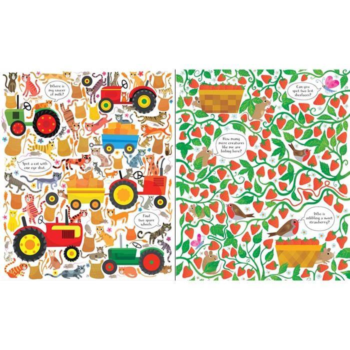 Look and Find on the Farm Usborne