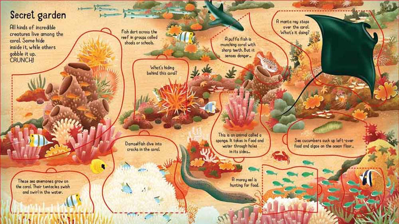 Look inside a Coral Reef - 買書書 BuyBookBook