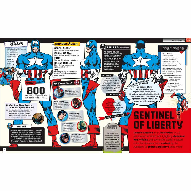 Marvel Absolutely Everything You Need To Know (Paperback) DK US