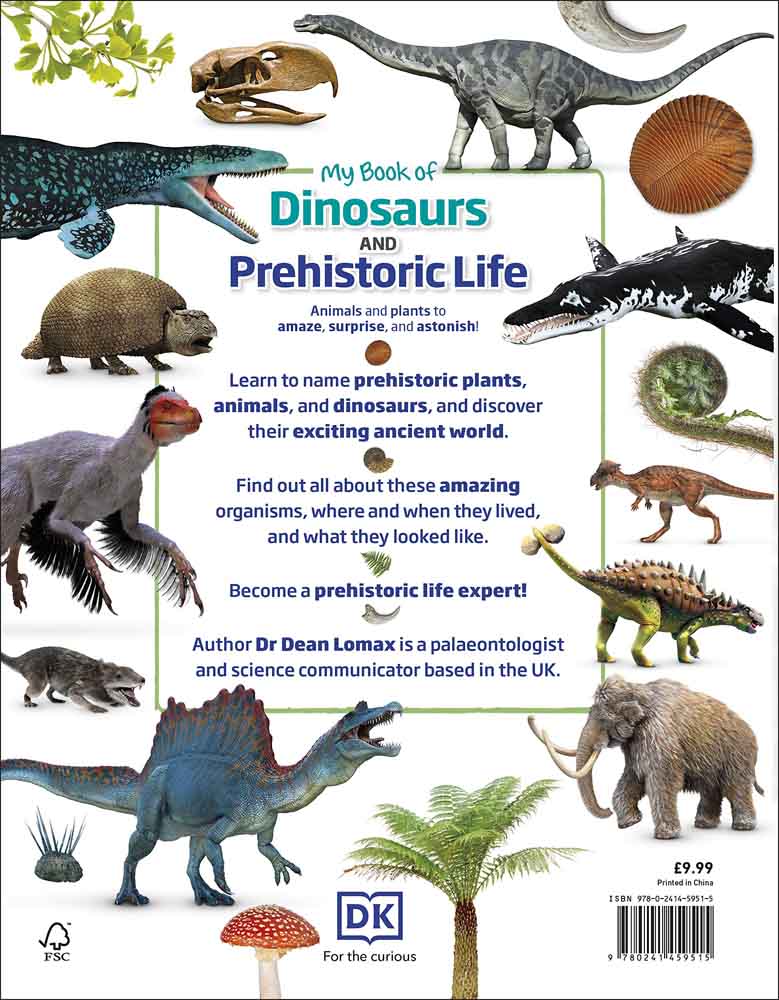 My Book of Dinosaurs and Prehistoric Life - 買書書 BuyBookBook