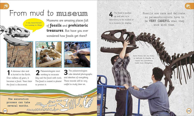 My Encyclopedia of Very Important Dinosaurs (Hardback) DK UK