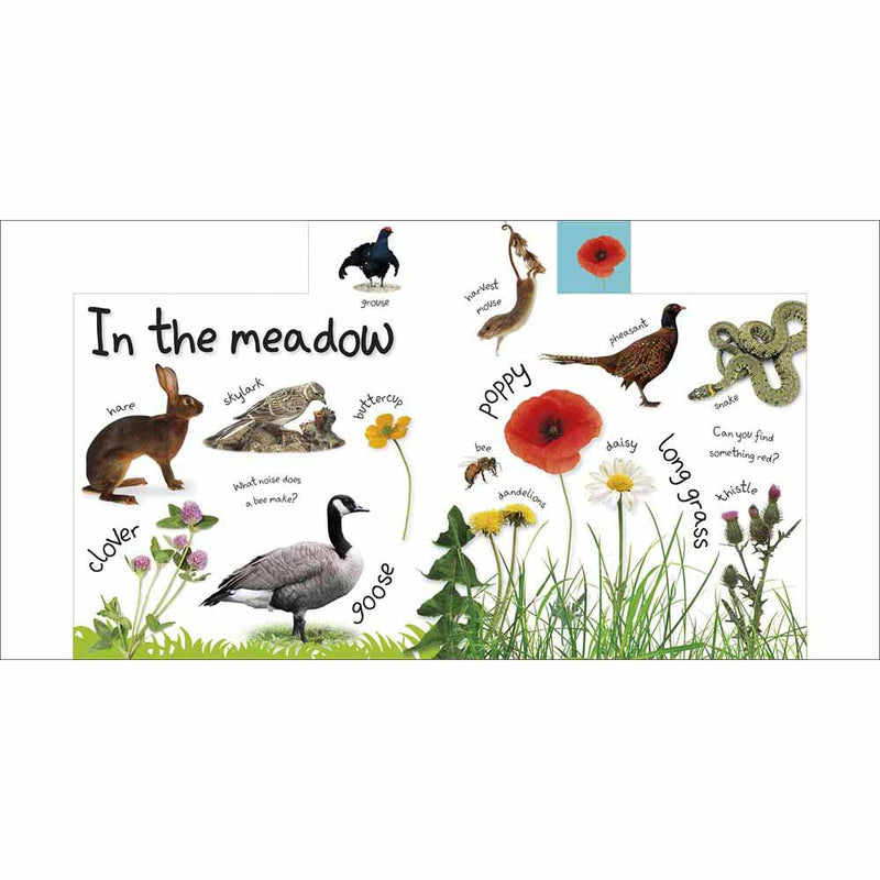 My First Nature Let's Go Exploring (Board Book) DK UK