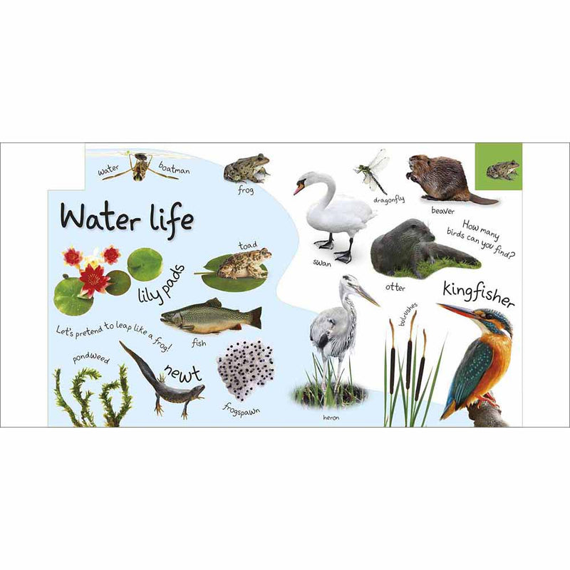 My First Nature Let's Go Exploring (Board Book) DK UK