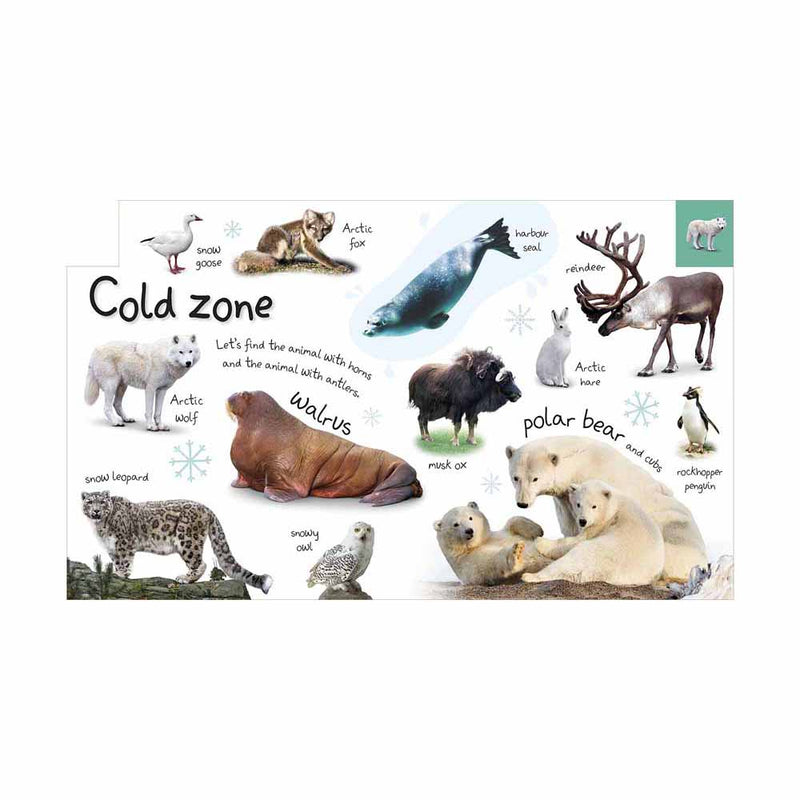 My First Zoo Let's Meet the Animals! (Board Book) DK UK