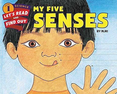 My Five Senses (Let's-Read-and-Find-Out L1) (Paperback) Harpercollins US