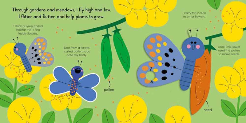 My Little Green World - Butterfly - 買書書 BuyBookBook