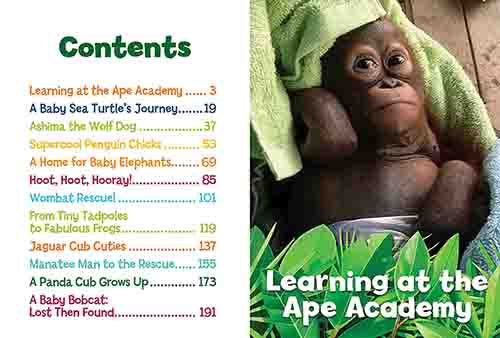 NGK: 5-Minute Baby Animal Stories (National Geographic Kids)-Nonfiction: 動物植物 Animal & Plant-買書書 BuyBookBook