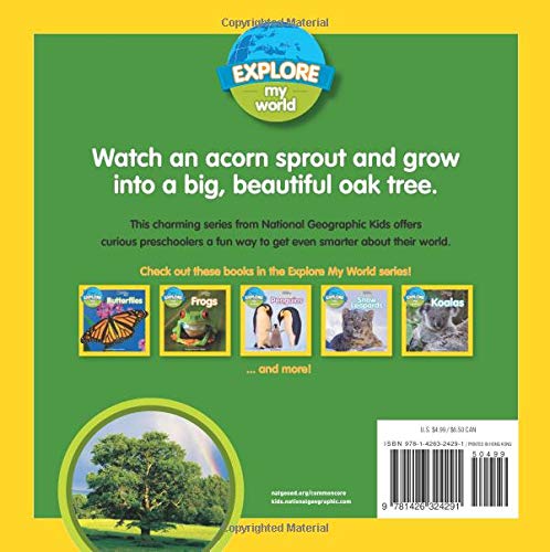 NGK Explore My World A Tree Grows Up - 買書書 BuyBookBook