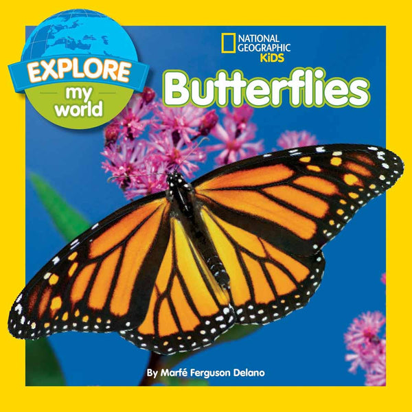 NGK Explore My World Butterflies - 買書書 BuyBookBook