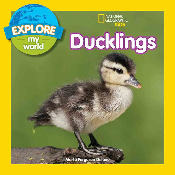 NGK Explore My World Ducklings - 買書書 BuyBookBook