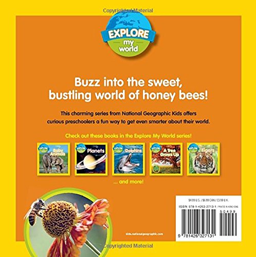 NGK Explore My World Honey Bees - 買書書 BuyBookBook