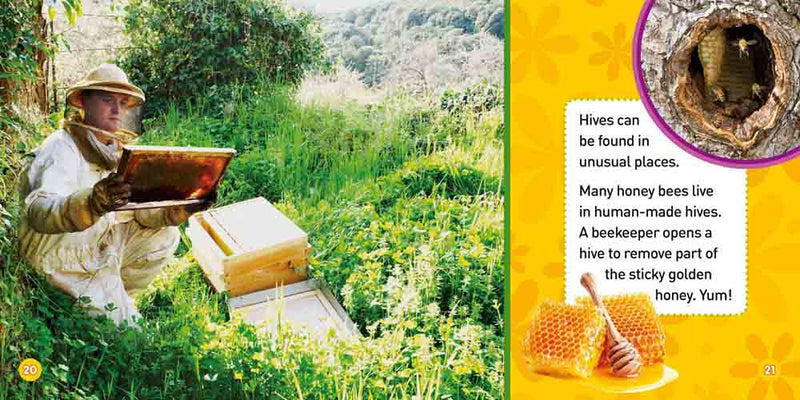 NGK Explore My World Honey Bees - 買書書 BuyBookBook