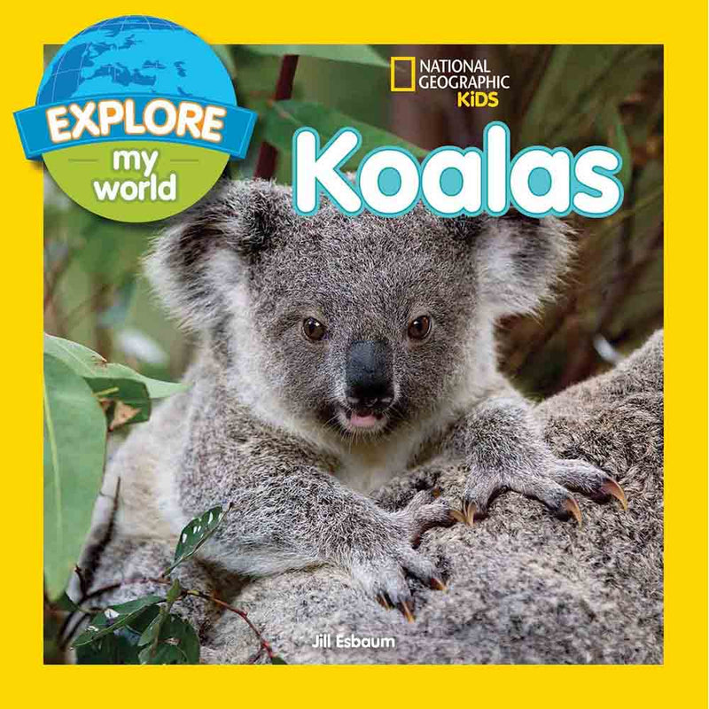 NGK Explore My World Koalas - 買書書 BuyBookBook
