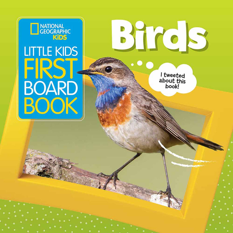 NGK Little Kids First Board Book: Birds (Board Book) - 買書書 BuyBookBook