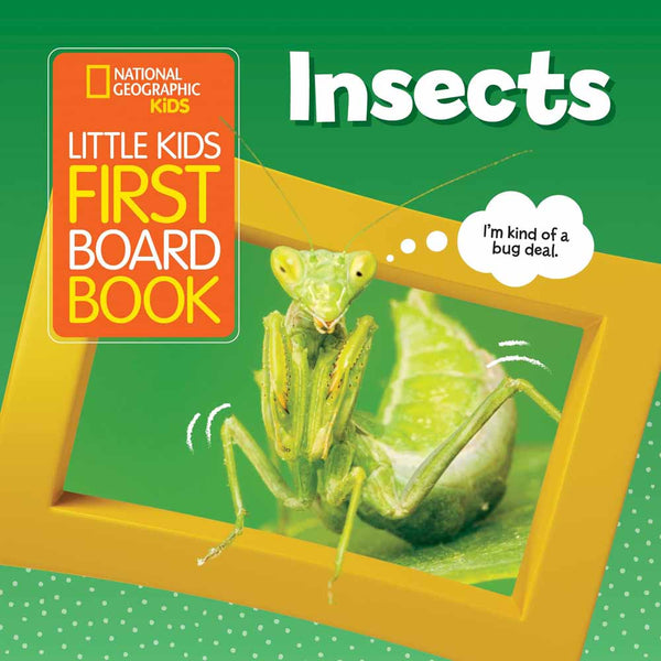 NGK Little Kids First Board Book: Insects (Board Book) - 買書書 BuyBookBook
