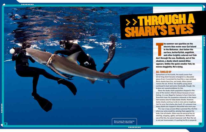 NGK Misson Animal Rescue - Shark Rescue - 買書書 BuyBookBook
