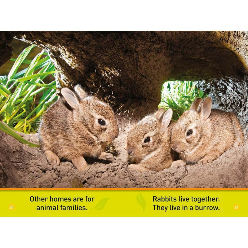 Animal Homes (L0) (National Geographic Kids Readers) National Geographic
