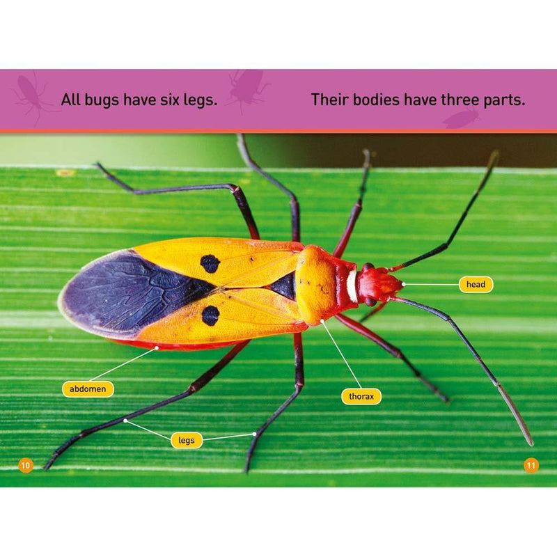 Bugs (L0) (National Geographic Kids Readers) National Geographic