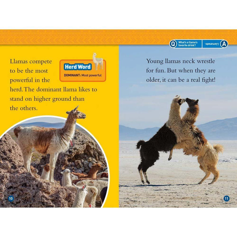Llamas  (L1) (National Geographic Kids Readers) National Geographic