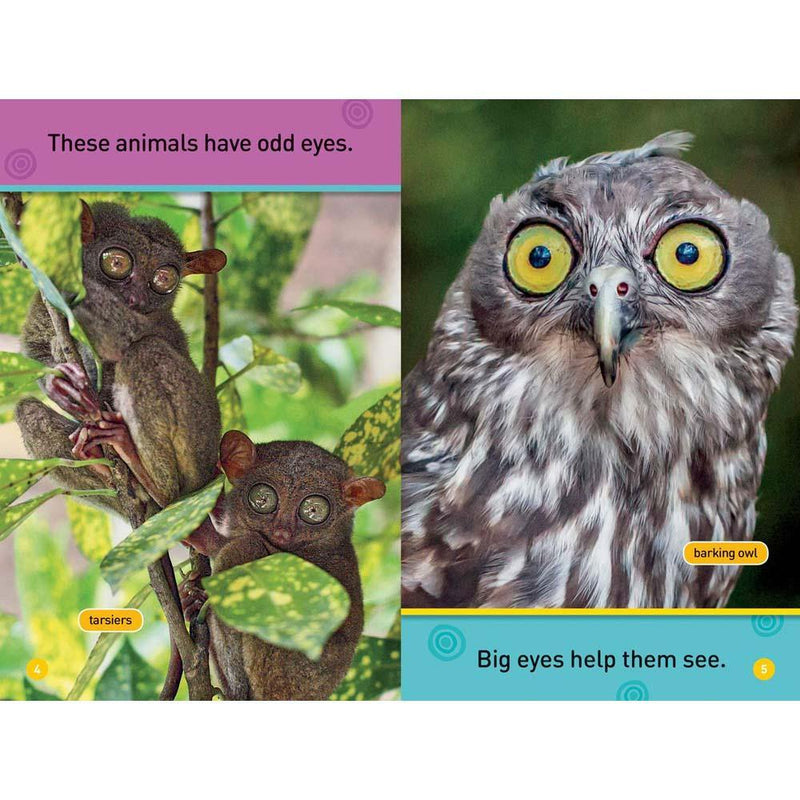 Odd Animals (L0) (National Geographic Kids Readers) National Geographic