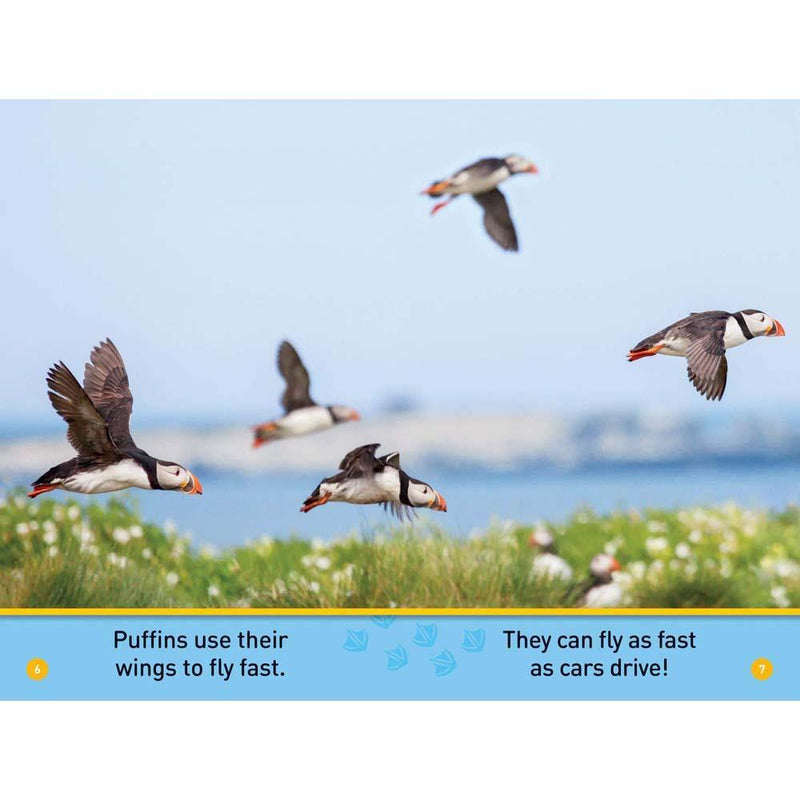 Puffins (L0) (National Geographic Kids Readers) National Geographic