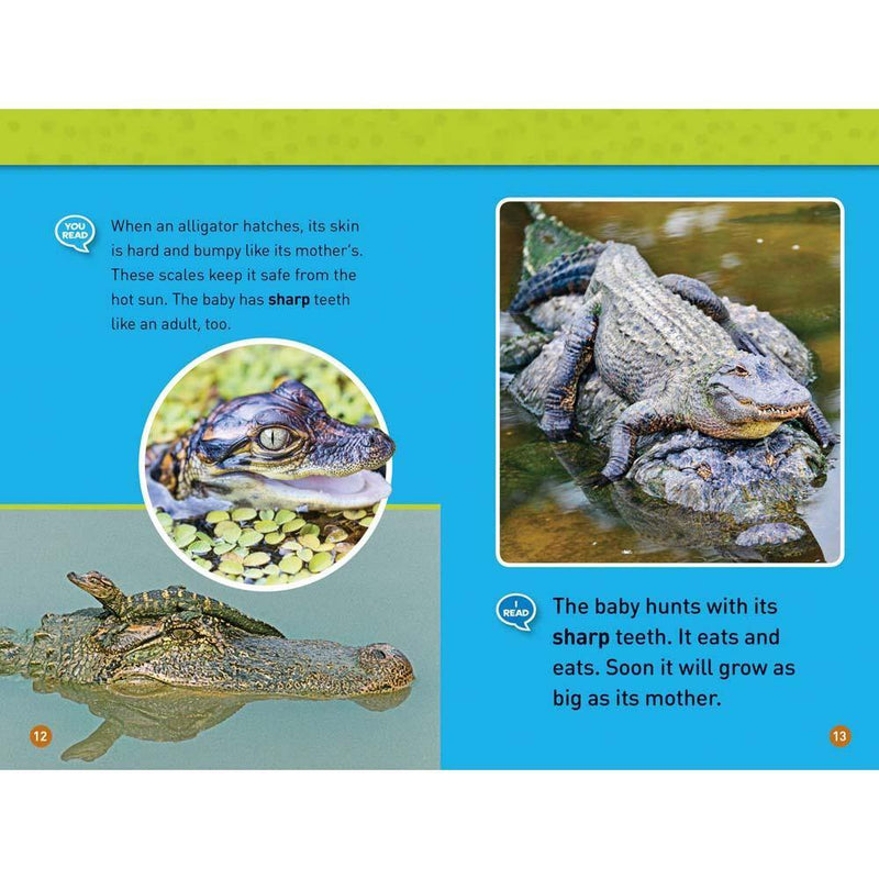 Tadpole to Frog (L1) (National Geographic Kids Readers) National Geographic