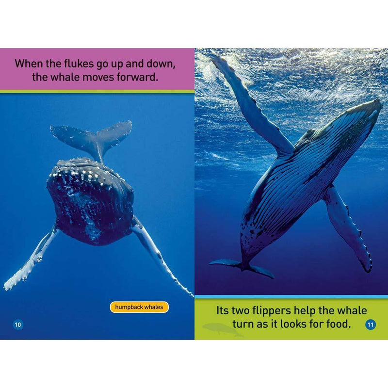 Whales (L0) (National Geographic Kids Readers) National Geographic