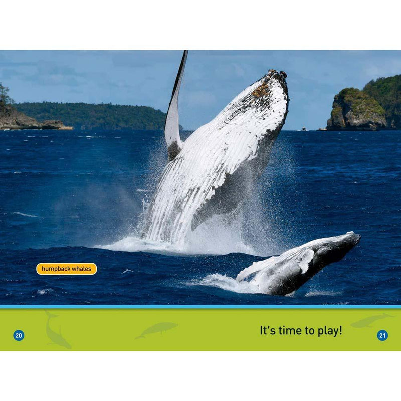 Whales (L0) (National Geographic Kids Readers) National Geographic