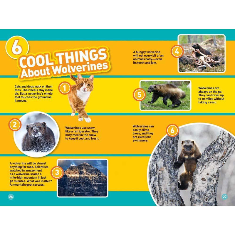 Wolverines (L3) (National Geographic Kids Readers) National Geographic