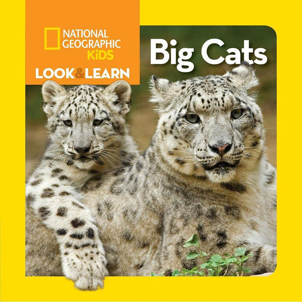 NGK Look and Learn: Big Cats (Board Book) National Geographic