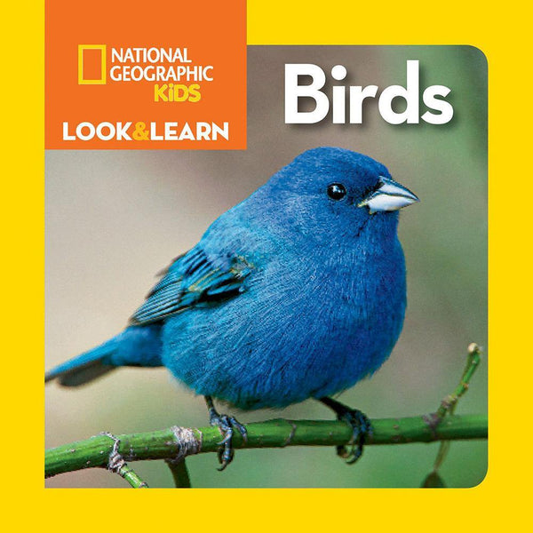 NGK Look and Learn: Birds (Board Book) National Geographic