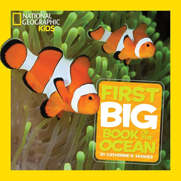 NGK Little Kids First Big Book of the Ocean (Hardback) National Geographic