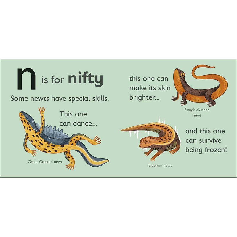 N is for Newt (Board book) DK UK