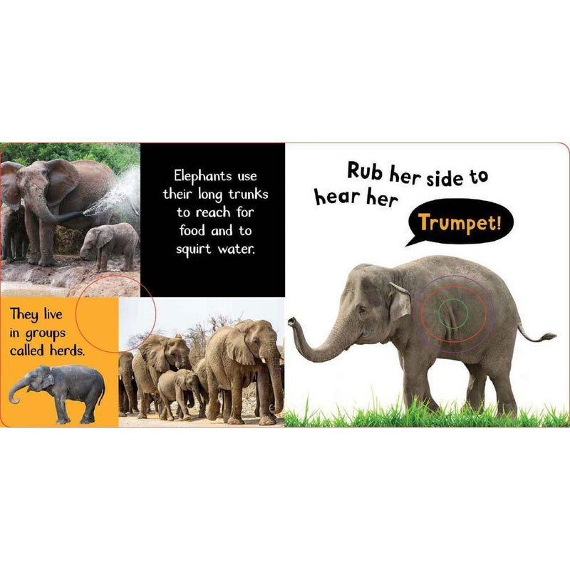 Noisy Animals (Touch and Feel Sound Board Book) PRHUS